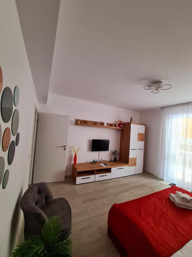 Studio Red Apartment Brasov Exterior photo